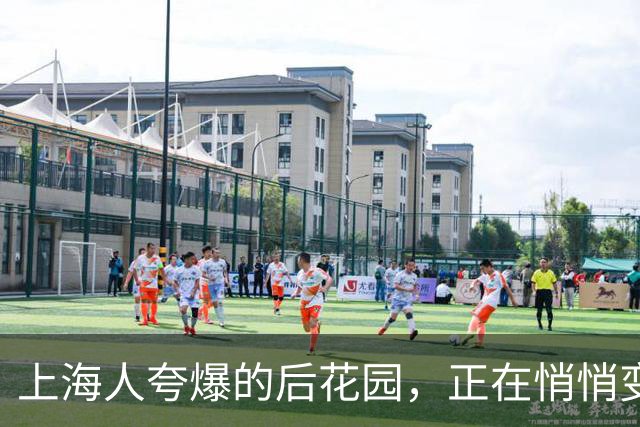 上海人夸爆的后花园，正在悄悄变成“空心老人岛”