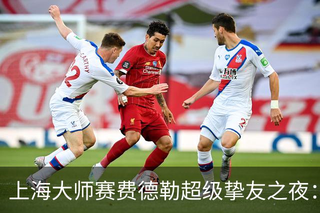 上海大师赛费德勒超级挚友之夜：费德勒搭档李娜战胜萨芬/萨芬娜