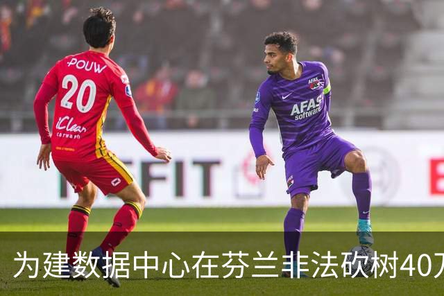 为建数据中心在芬兰非法砍树40万棵，谷歌：停工致歉，将保护水质并在部分土地重新种树