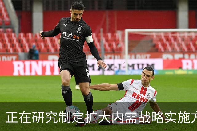 正在研究制定扩大内需战略实施方案！国家发改委这场发布会信息量很大