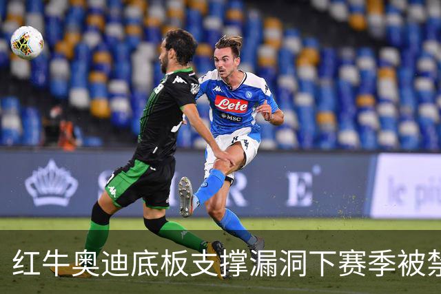 红牛奥迪底板支撑漏洞下赛季被禁