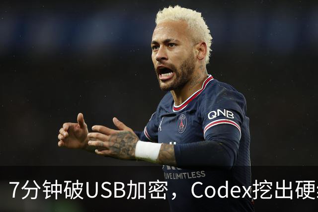 7分钟破USB加密，Codex挖出硬编码密钥